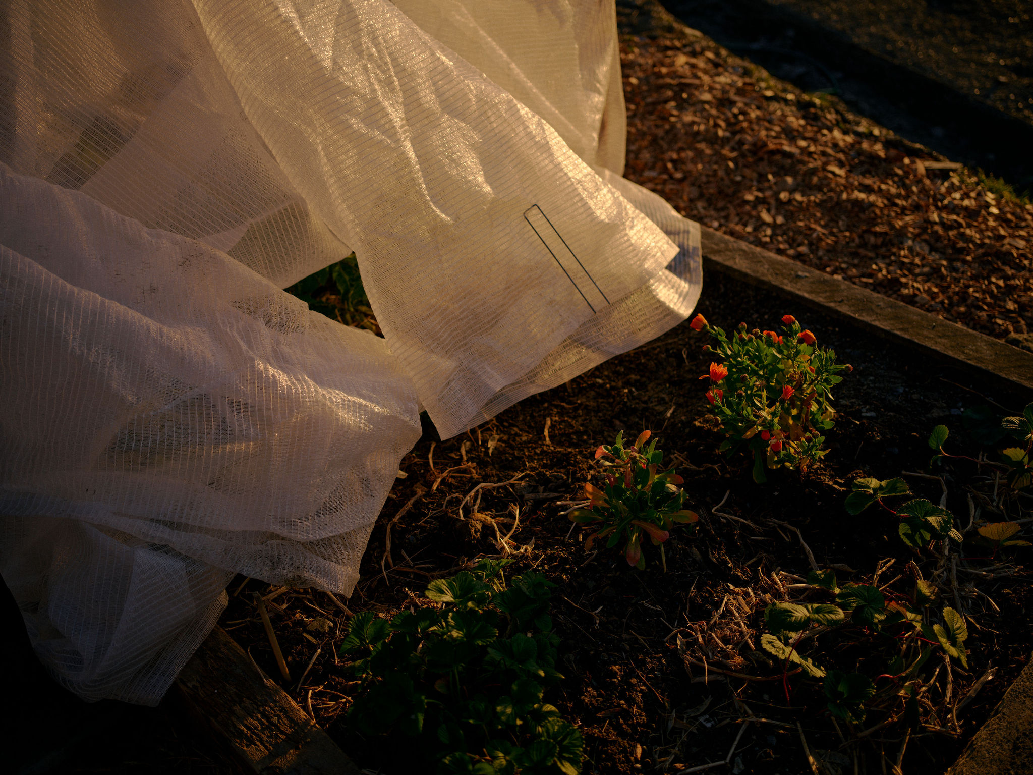 Reagen Butler Visits Mt Dewar